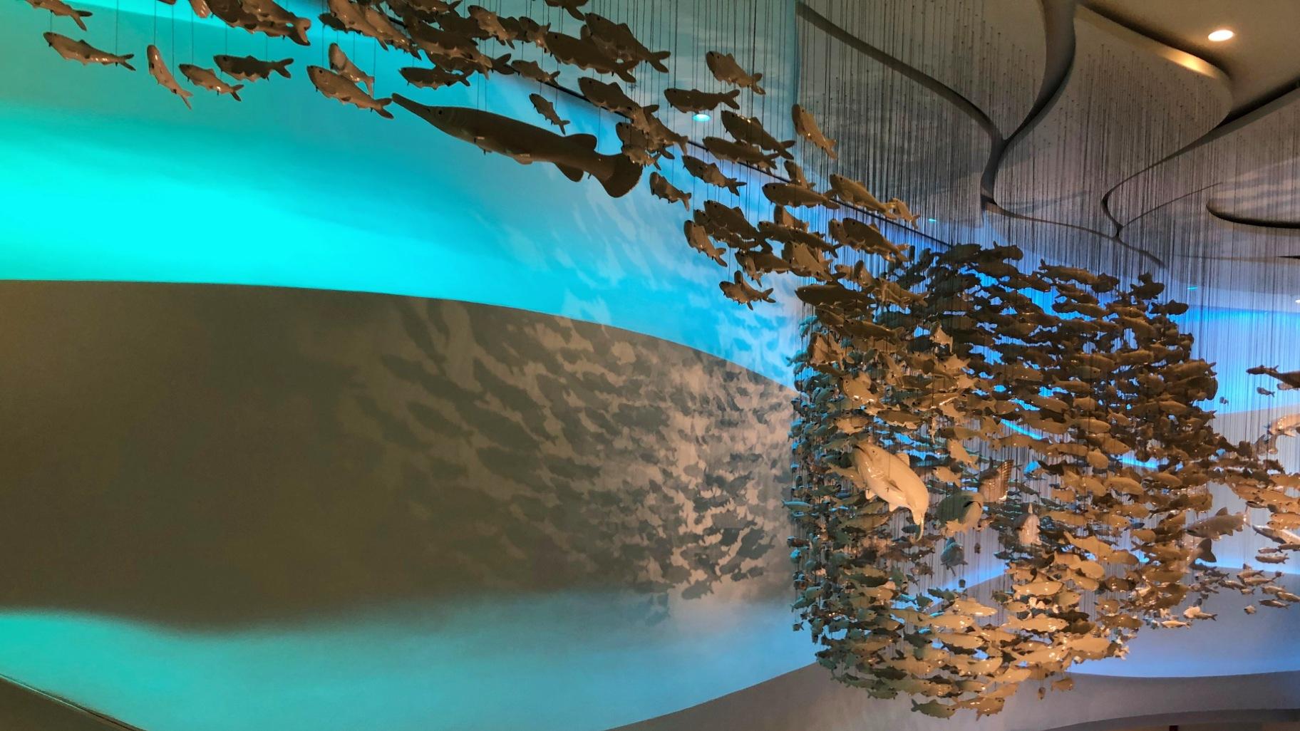 Large-Scale Art Installation Greets Visitors at Shedd Aquarium's